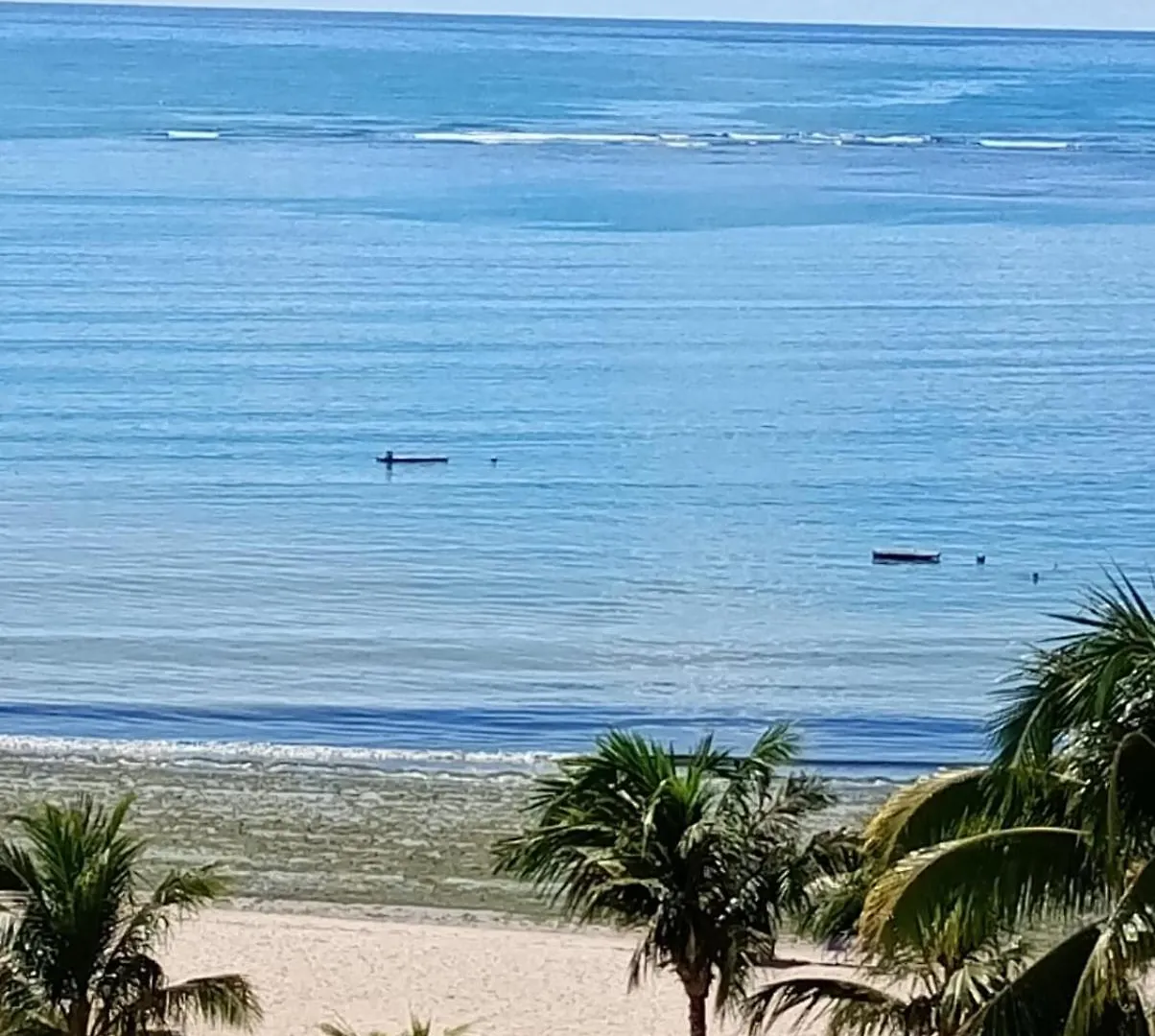 Apto 3 Quartos Pe Na Areia Prox De Recife